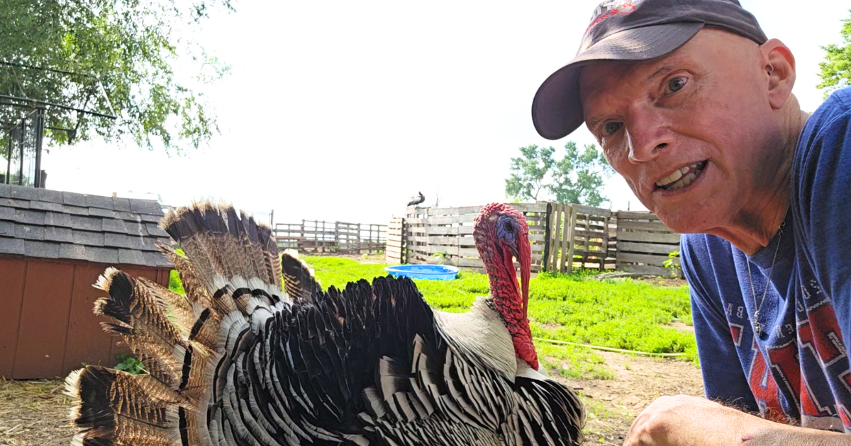 Ken with Lincoln the Turkey Ken with Lincoln the Turkey
