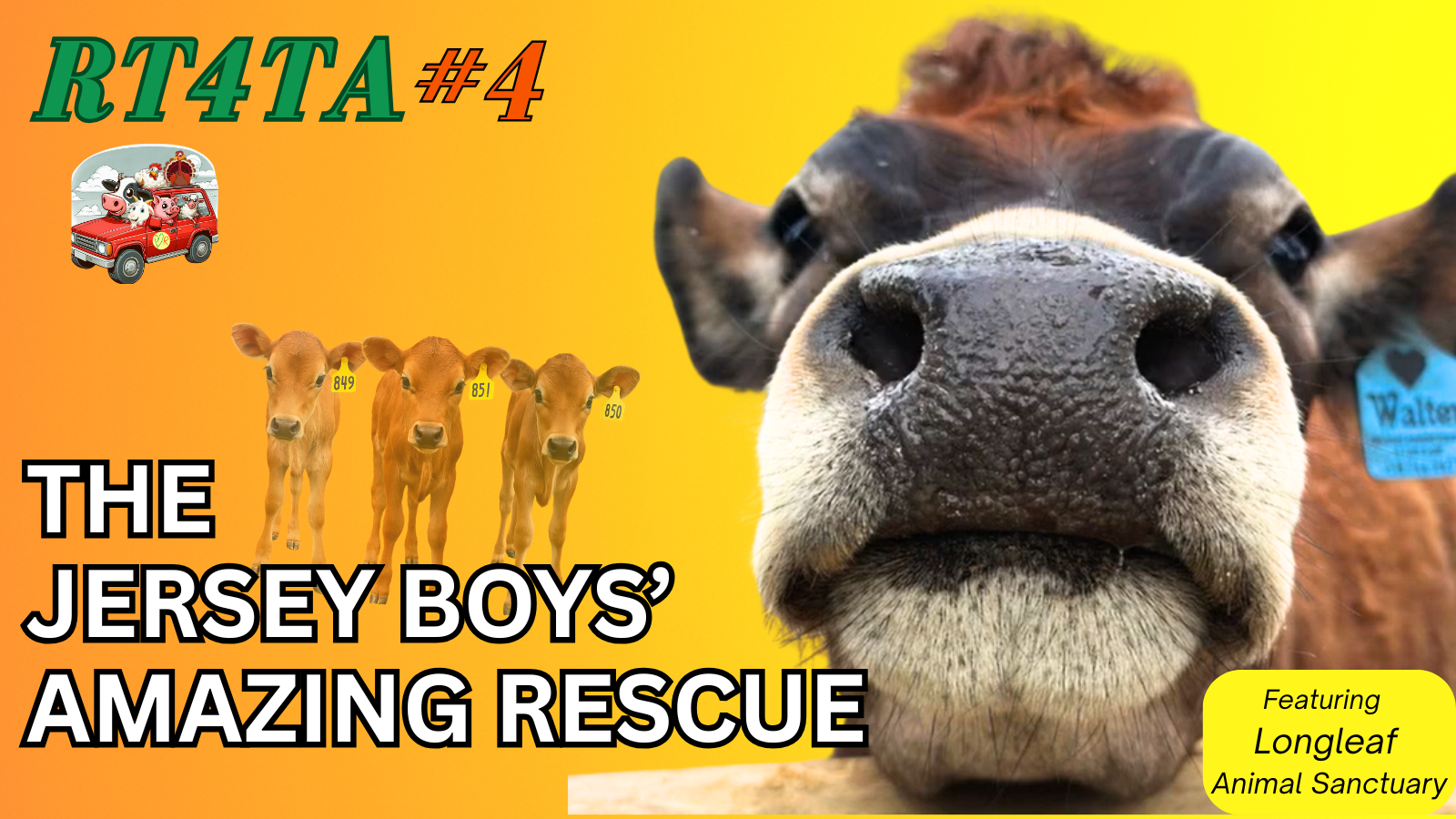 RT4TA 4 Thumbnail (1)